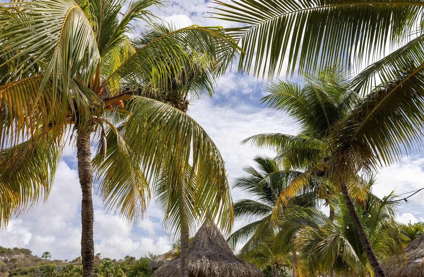 curaçao-jan-thiel.jpg