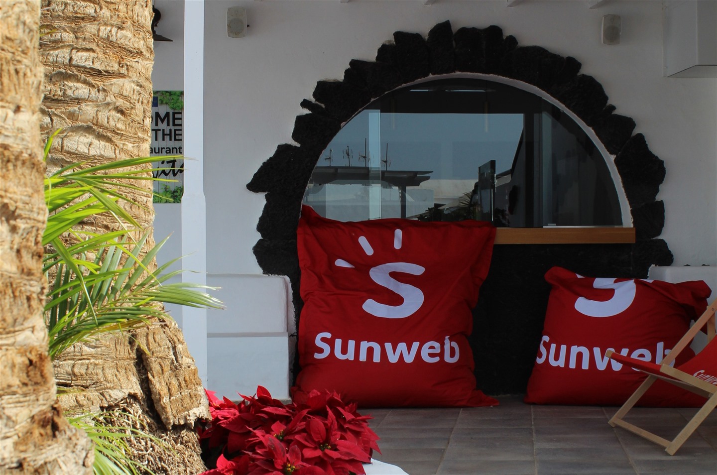 sunweb-kussens-1.jpg